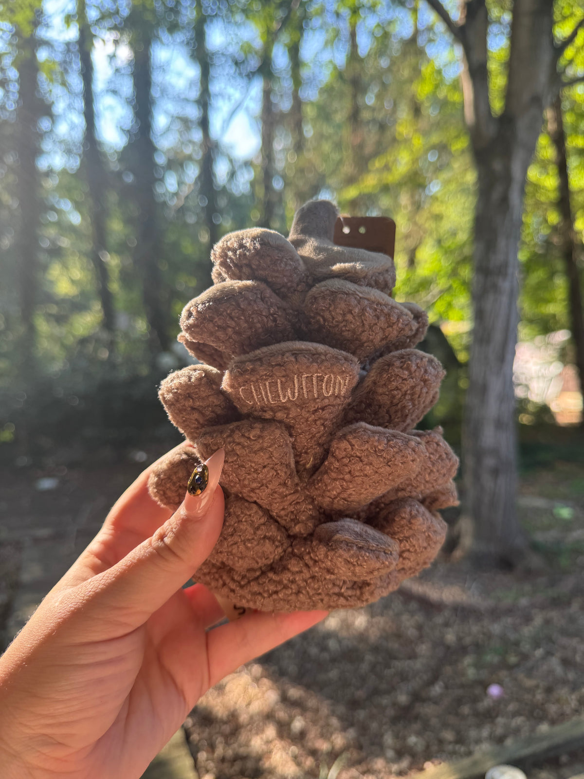 pinecone snuffle toy