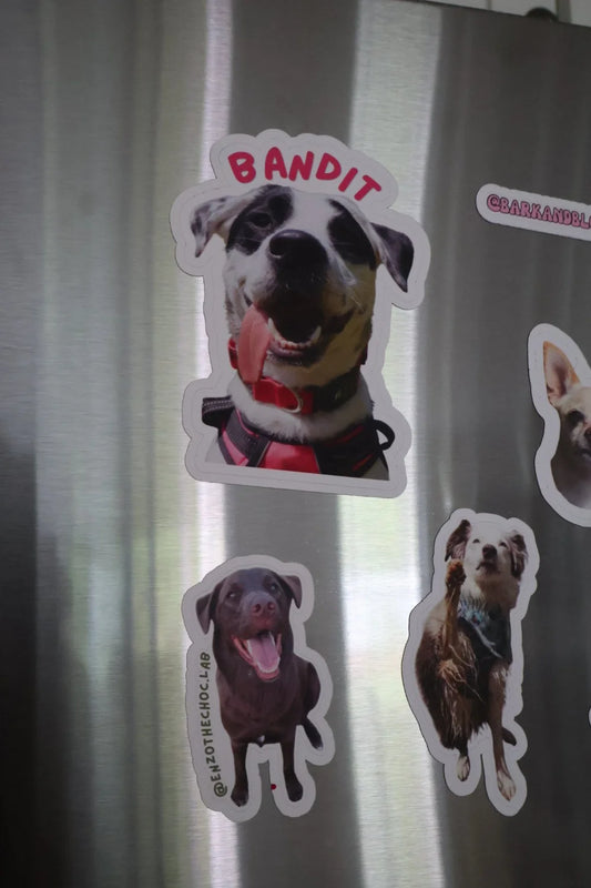 portrait magnets