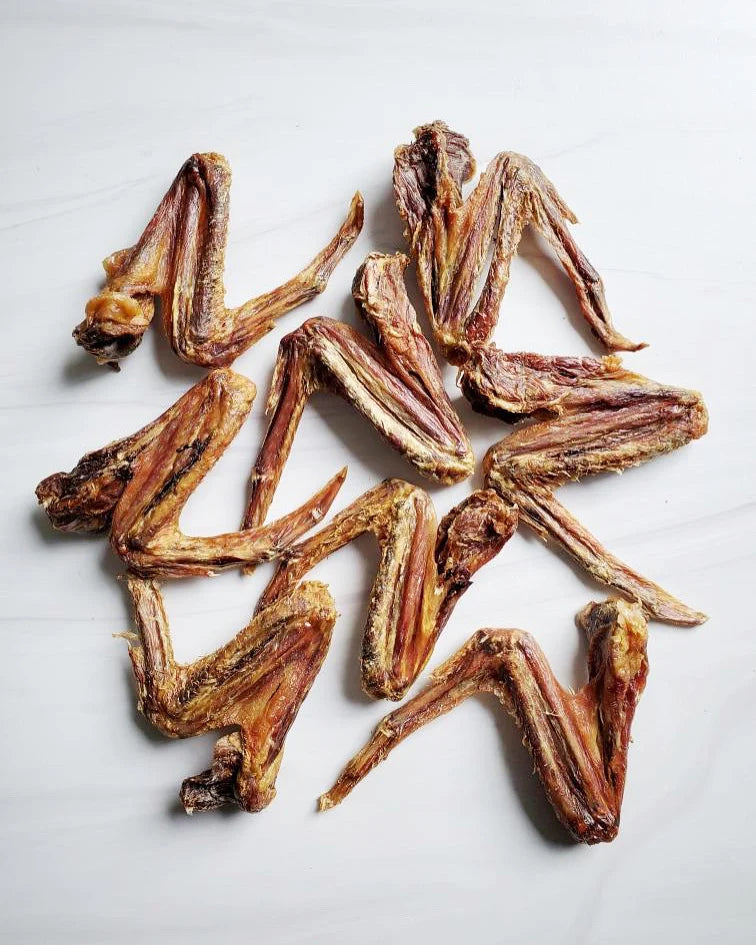 duck wing