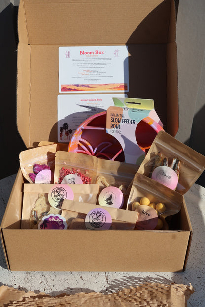 august bloom box (golden hour)