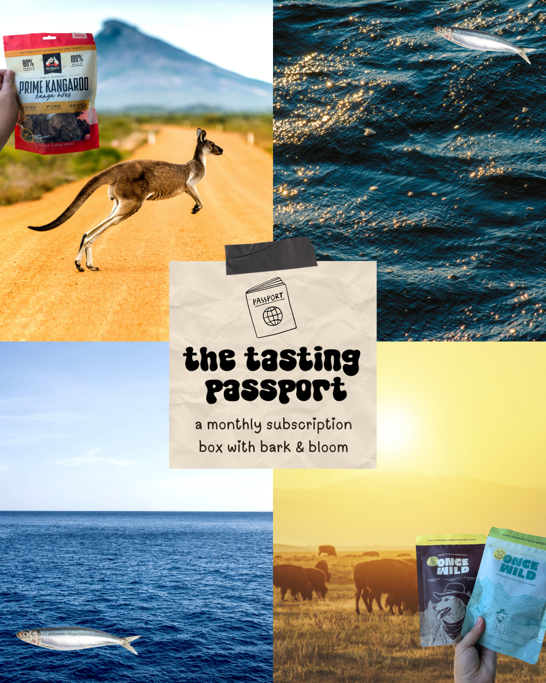 tasting passport (monthly subscription)