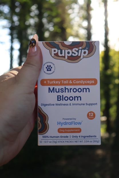 mushroom bloom packs