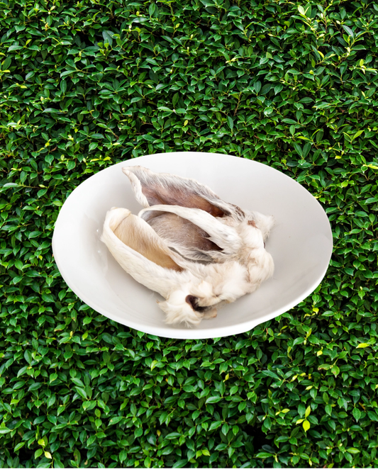 rabbit ears
