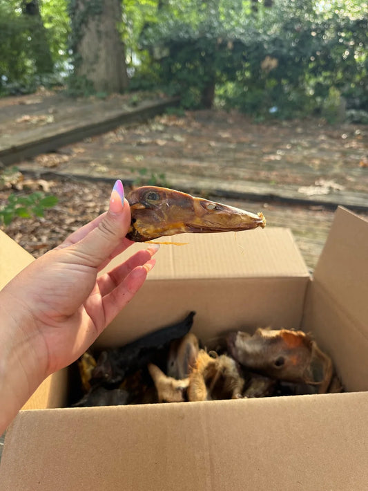 duck head