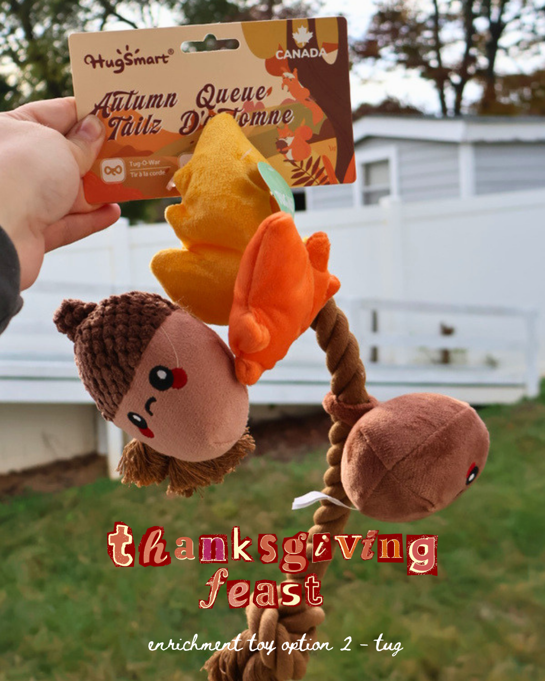 thanksgiving feast (NOVEMBER PRE-ORDER)