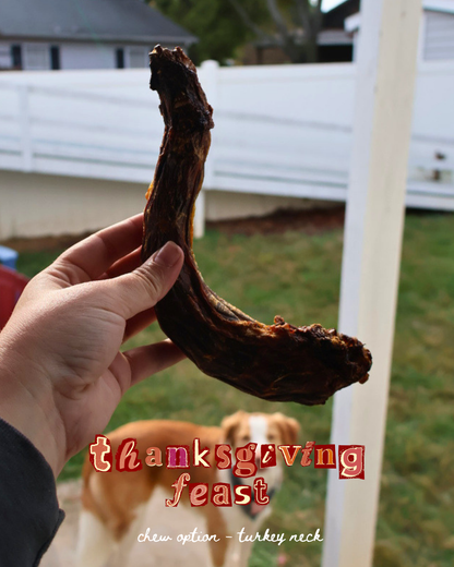 thanksgiving feast (NOVEMBER PRE-ORDER)
