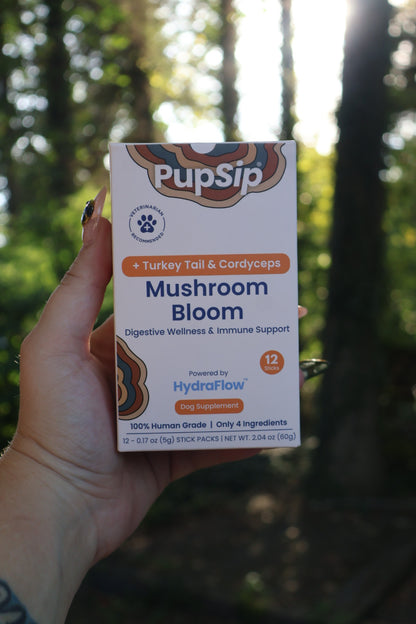 mushroom bloom packs