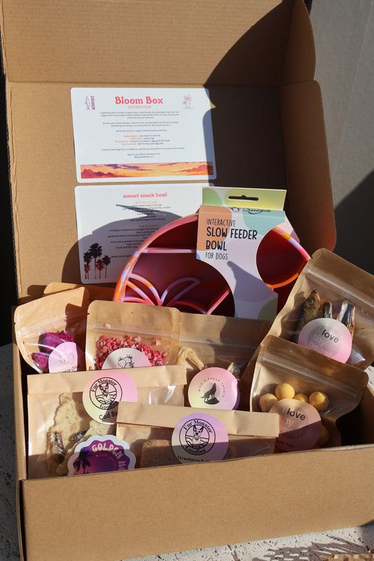 august bloom box (golden hour)