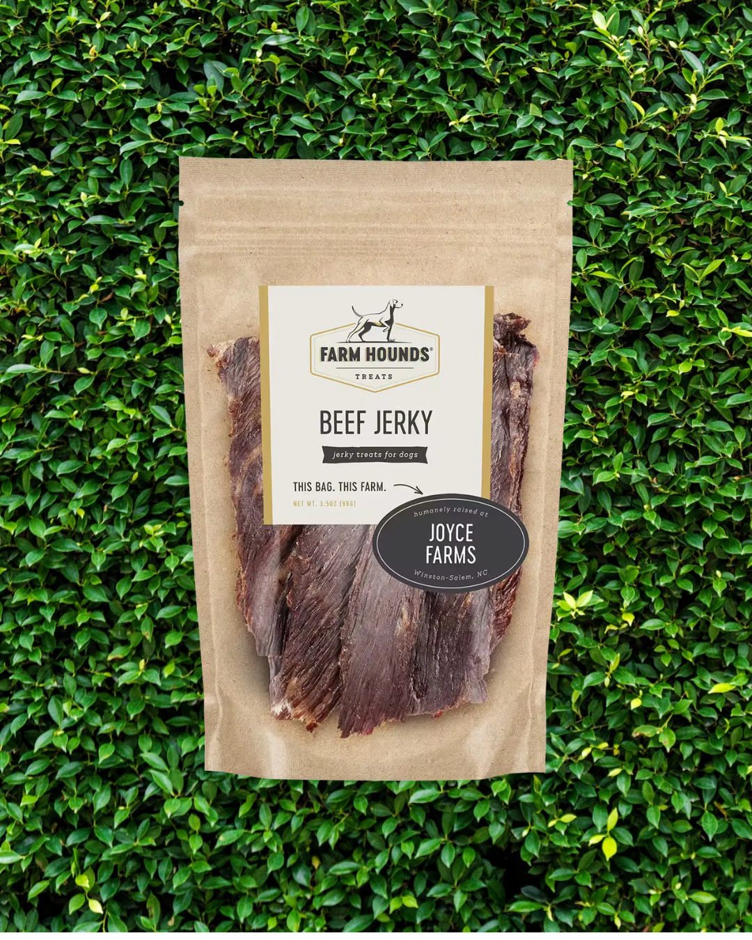 beef jerky
