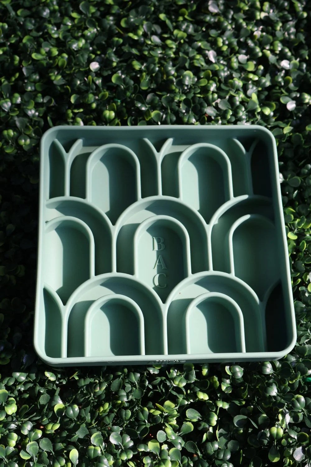 arco slow feeder