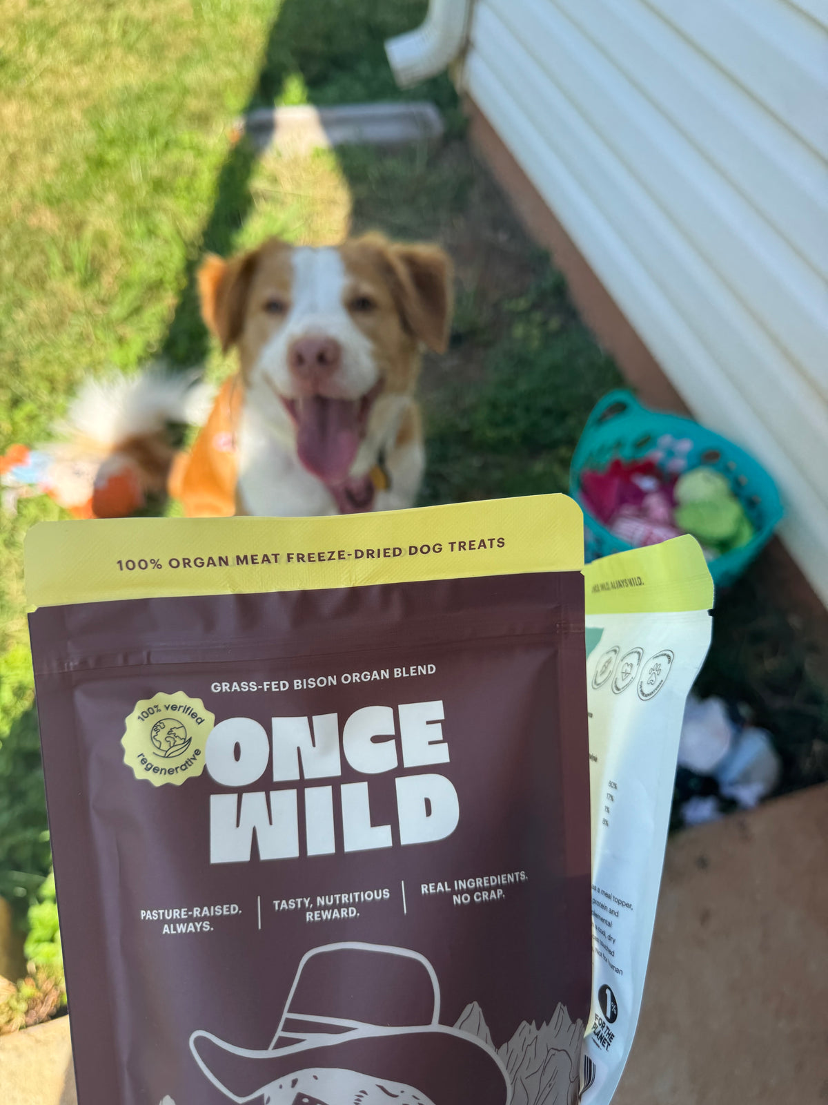 bison organ blend (2.5 oz)