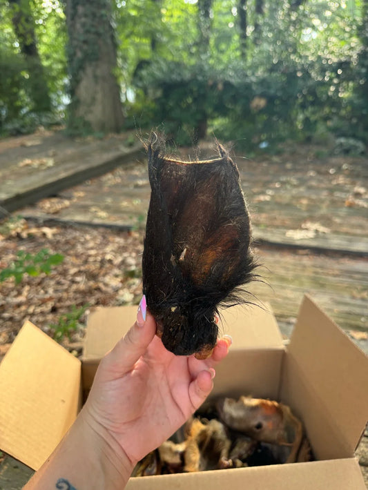 beef ear (w/ hair)