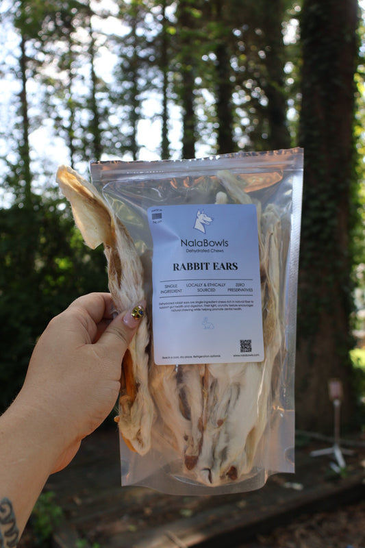 large rabbit ears (10 pack)