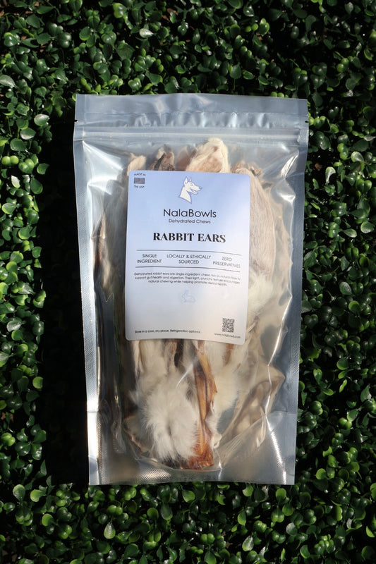 large rabbit ears (10 pack)