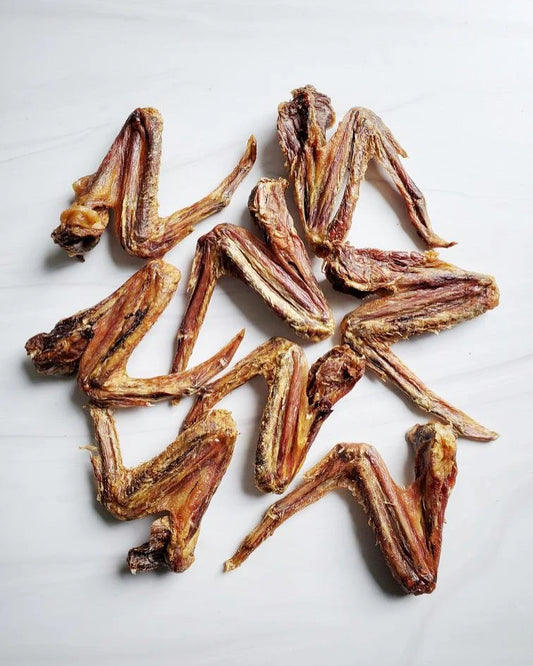 duck wing
