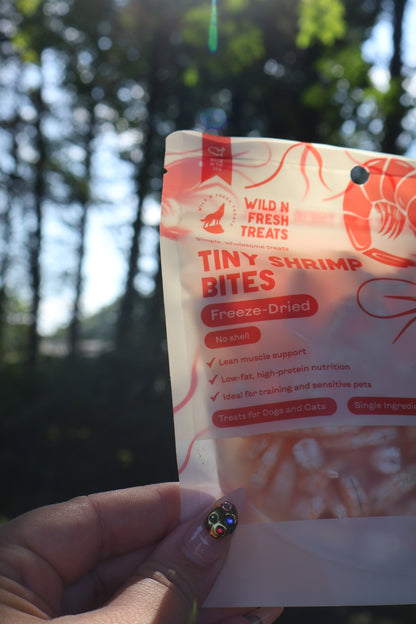 tiny shrimp