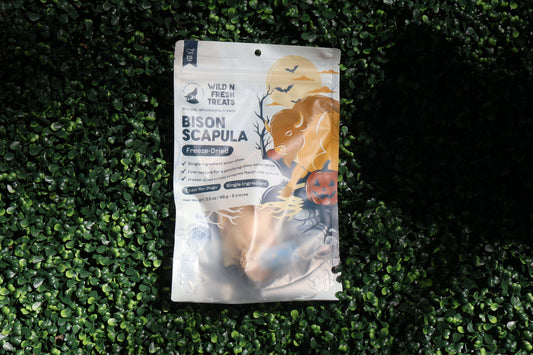 bison scapula (2 pack)