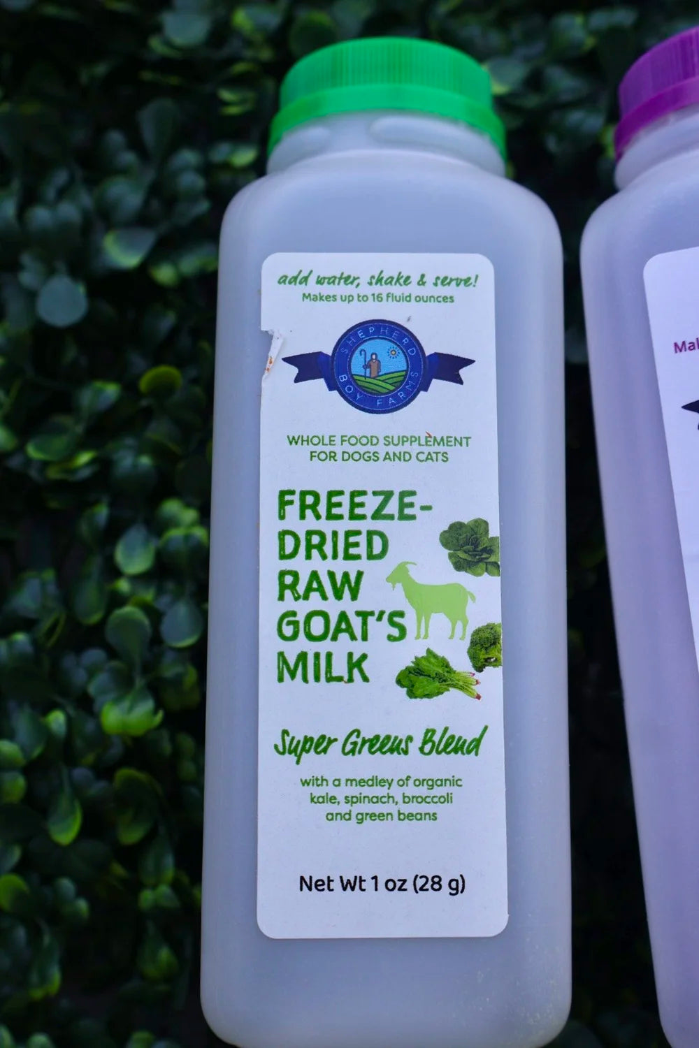 freeze dried raw goat milk topper