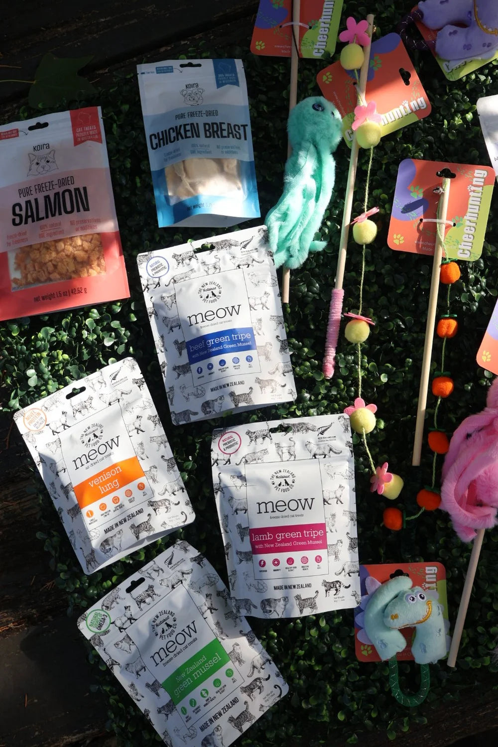 curated for cats kit