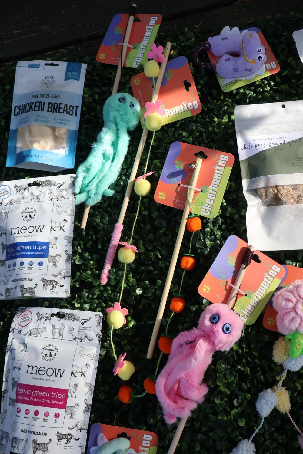 curated for cats kit