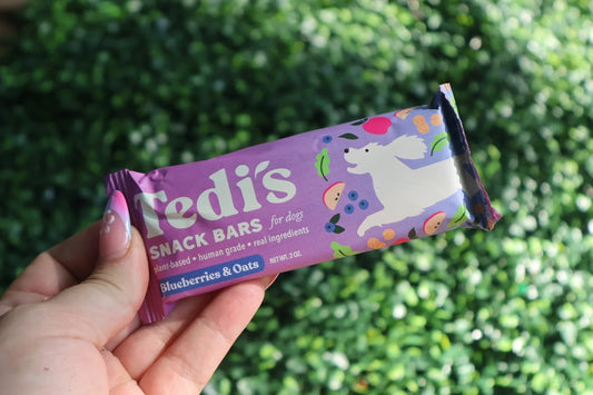 tedi's bar