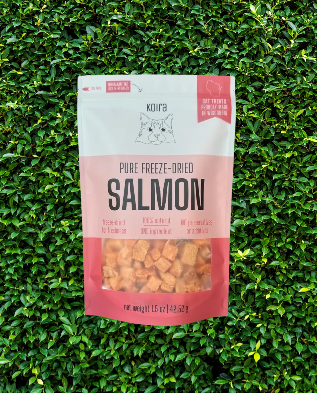 freeze dried salmon