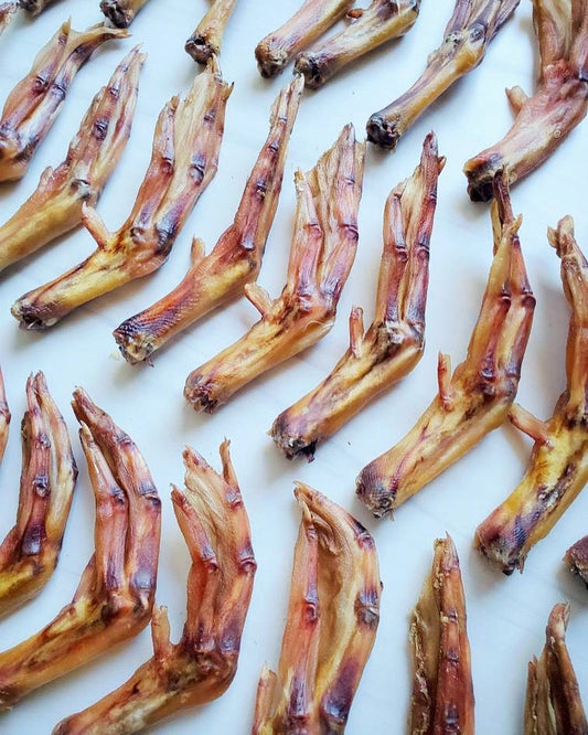 duck feet
